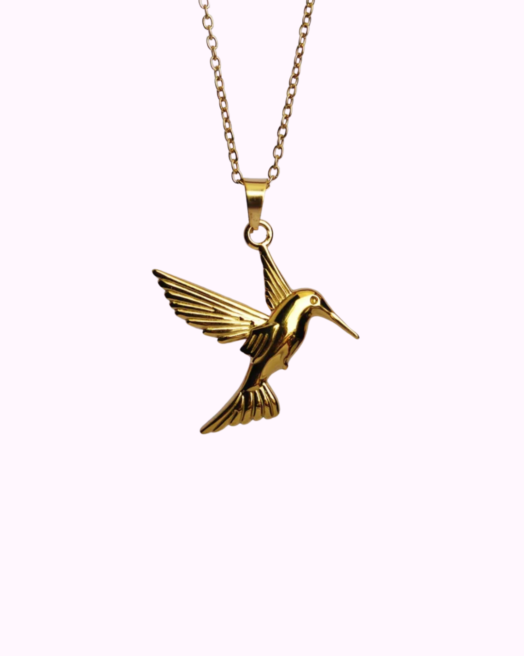 Colibrí