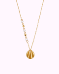 Golden shell