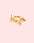 Duchshund