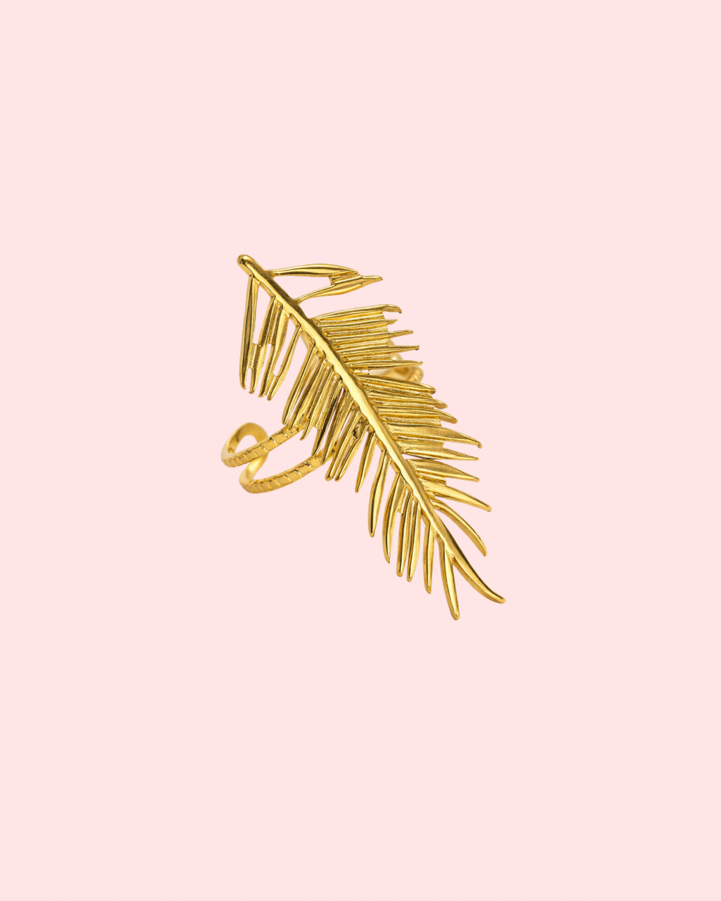 Palma