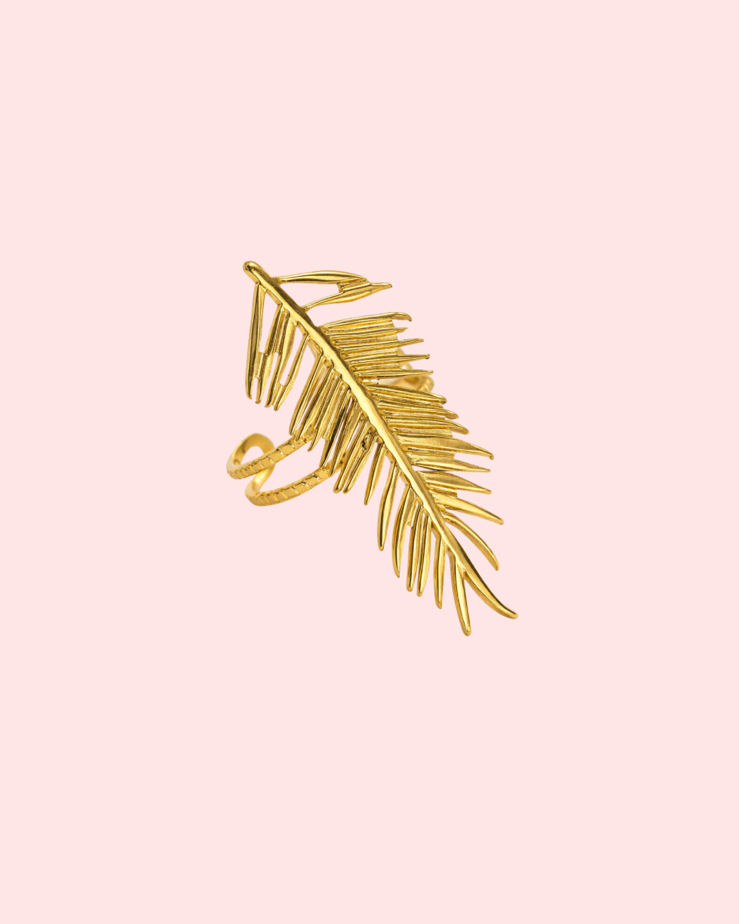 Palma