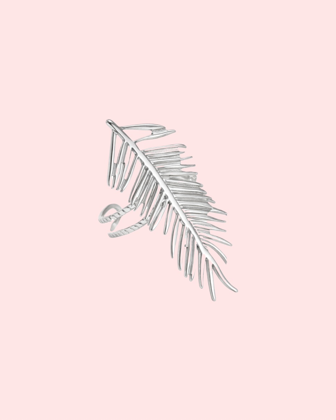 Palma